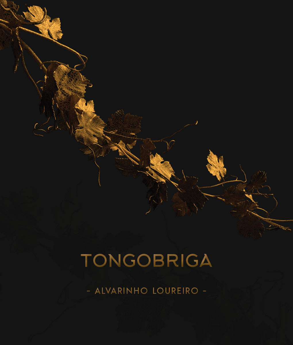 Tongobriga